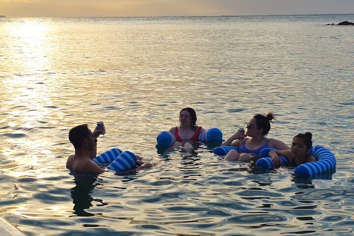 Backwater Wildlife and Boat Tour — Piñones Mangroves & Sandbar Swim photo 6
