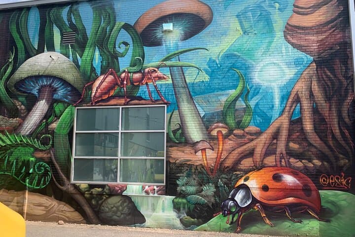 Denver Graffiti Tour team