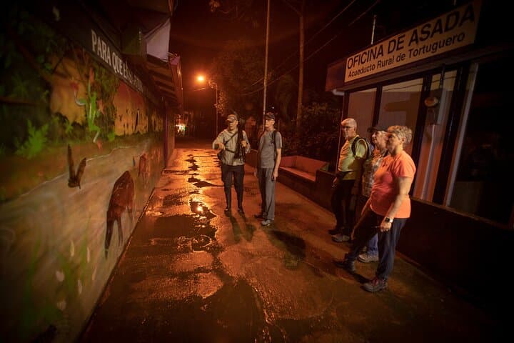 Dawn Canoe, Jaguar Trail Hike & Night Walk — Tortuguero 3‑Activity Package photo 3