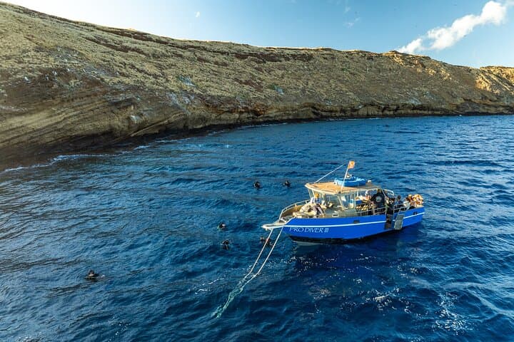 Molokini 3‑Tank Advanced Dive: Back Wall Drift, Wasteland Pinnacles & Wrecks photo 2