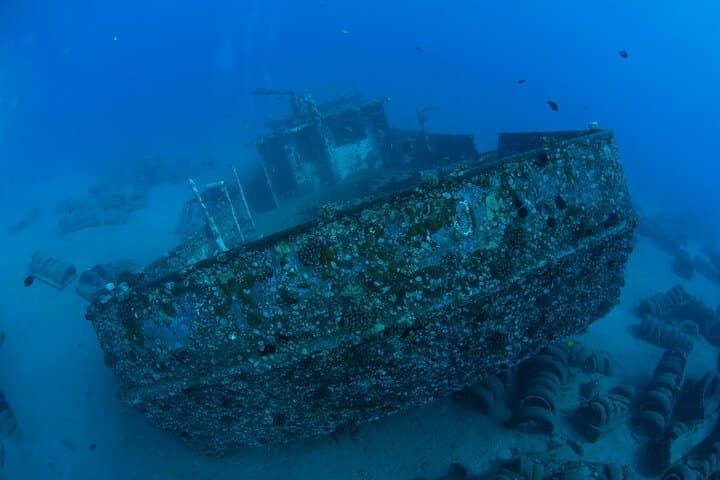 Molokini 3‑Tank Advanced Dive: Back Wall Drift, Wasteland Pinnacles & Wrecks photo 6