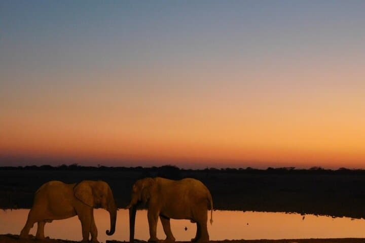 3-Day Etosha Wildlife Encounters: Big Five Safari from Windhoek photo 2