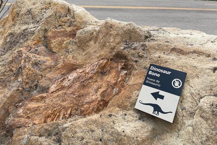 Private Jeep Tour: Red Rocks, Dinosaur Ridge & Lookout Mountain from Denver photo 6