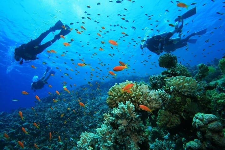 Scuba Diving & Snorkeling in Side: Mediterranean Boat Dives for Beginners photo 3