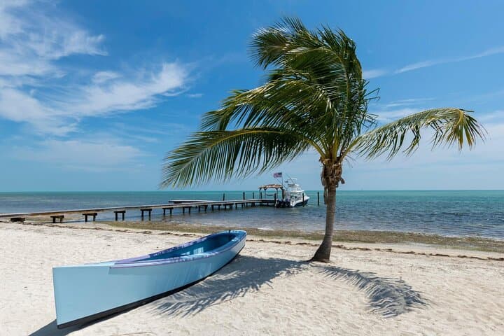 Miami to Key West: Full-Day Drive and Six-Hour Island Exploration photo 4