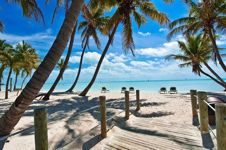 Miami to Key West: Full-Day Drive and Six-Hour Island Exploration photo 6