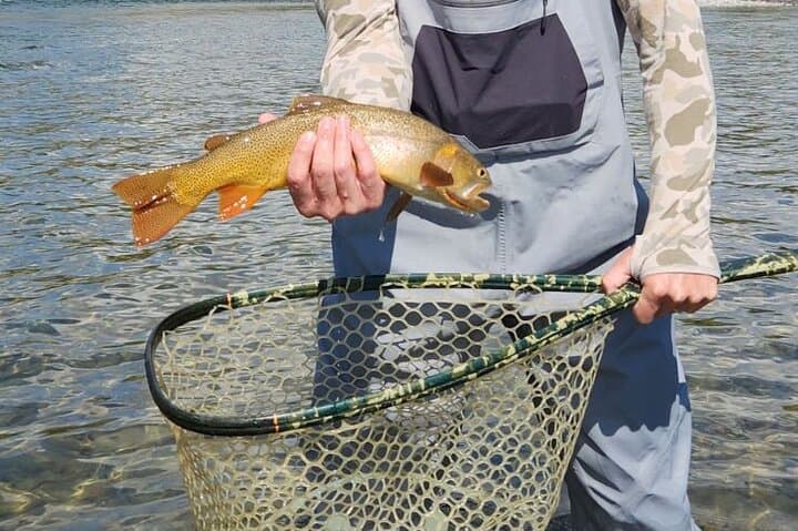 Jackson Hole Walk-Wade Fly Fishing: 2-Hour Private Guided Trip photo 3