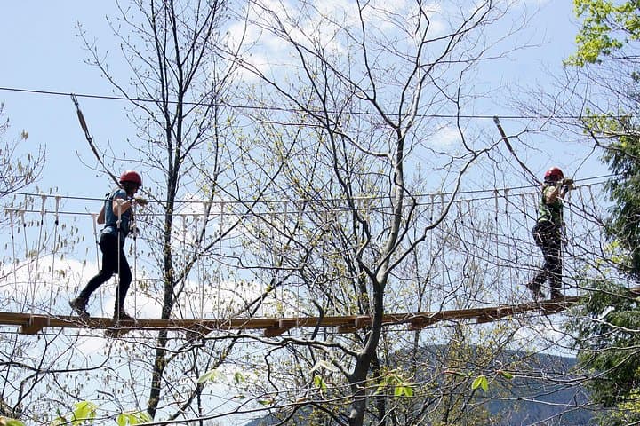 Smugglers' Notch Zipline Canopy Tour: ArborTrek Treetop Adventure photo 5