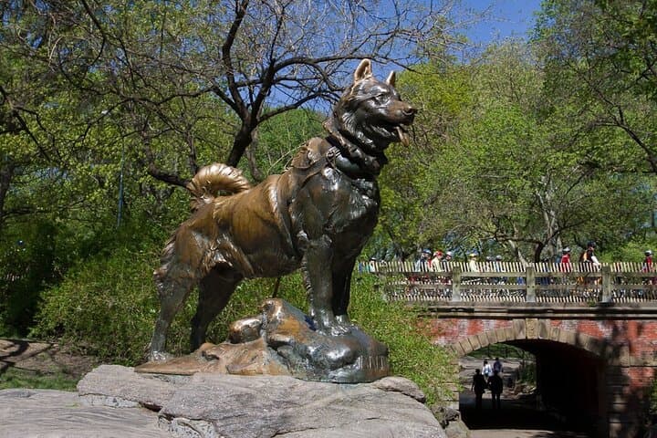 Two-Hour Pedicab Tour of Central Park: Iconic Sights & Local Stories photo 4