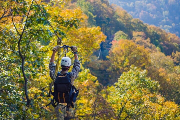 Soar the Green River Gorge: Gorge Zipline Canopy Tour in Saluda, NC