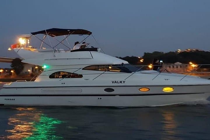 Porto Luxury Yacht Cruise on the Douro River and Estuary Reserve photo 1