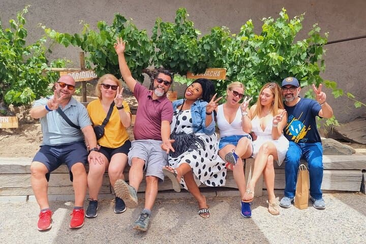 Casablanca Valley Wine Tour: Exclusive Tastings & Tanino Restaurant Experience photo 2