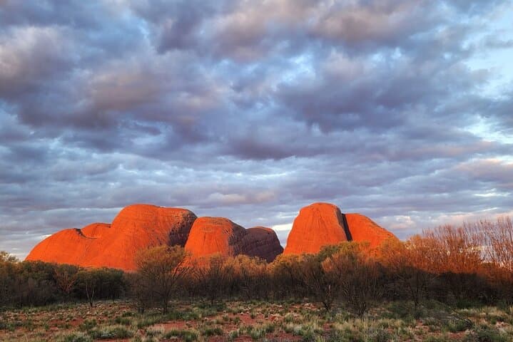 Uluru and Kata Tjuta 2-Day Hop-On Hop-Off Pass: Sunrise Views, Base Walks & Cultural Stops photo 5
