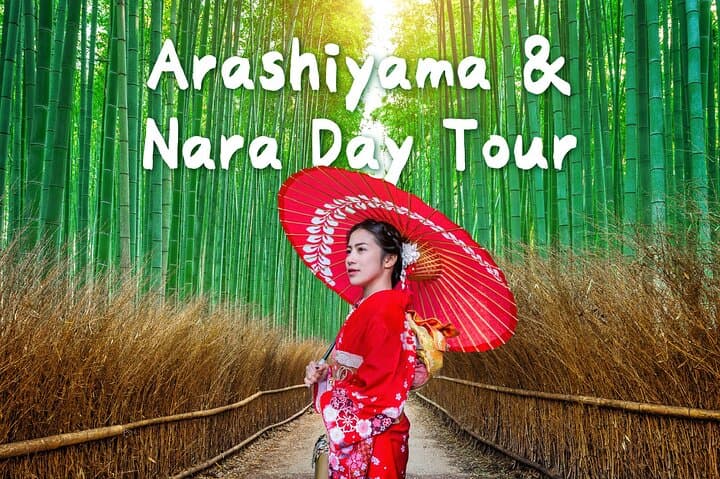 Osaka Day Tour: Katsuo-ji, Arashiyama Bamboo Grove & Nara Park photo 1