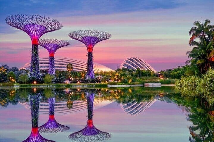 Explore Gardens by the Bay: Flower Dome, Cloud Forest & Jurassic World Experience