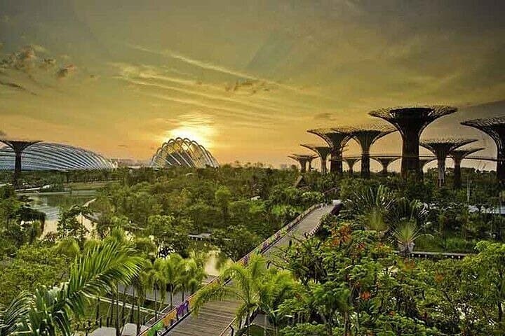Explore Gardens by the Bay: Flower Dome, Cloud Forest & Jurassic World Experience photo 6