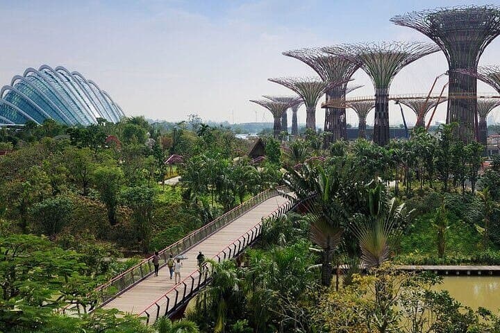 Explore Gardens by the Bay: Flower Dome, Cloud Forest & Jurassic World Experience photo 4
