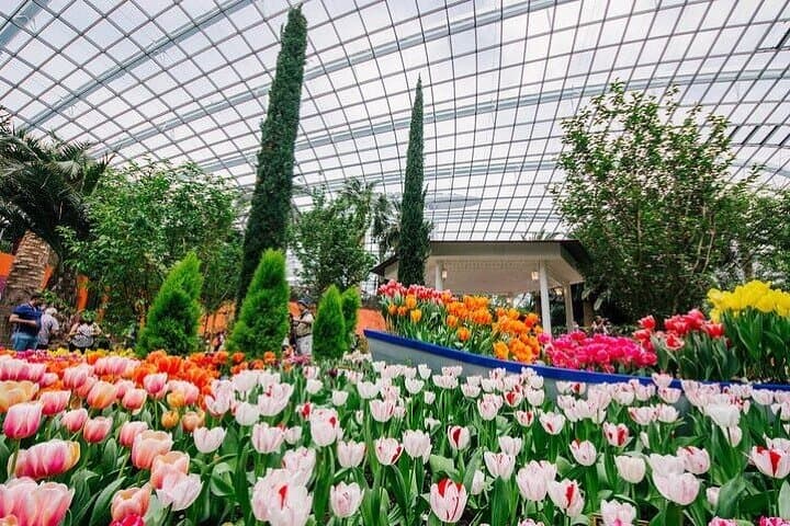 Explore Gardens by the Bay: Flower Dome, Cloud Forest & Jurassic World Experience photo 2