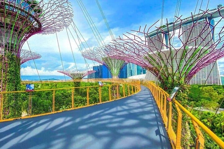 Explore Gardens by the Bay: Flower Dome, Cloud Forest & Jurassic World Experience photo 3