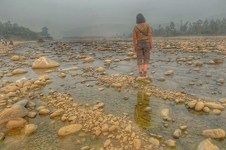2-Day Jim Corbett National Park Safari from Delhi — Morning Jungle Safaris & Riverside Stays photo 3