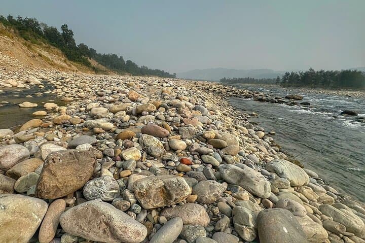 2-Day Jim Corbett National Park Safari from Delhi — Morning Jungle Safaris & Riverside Stays photo 4