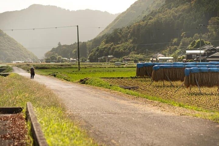 Shisō E-Bike Sake Trail: Ride to Harima's Historic Shrines and Breweries photo 2