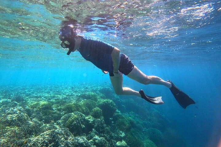 Menjangan Island Snorkeling: Bali's Hidden Underwater Gem