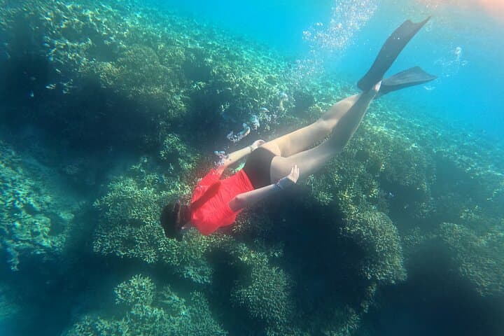 Menjangan Island Snorkeling: Bali's Hidden Underwater Gem photo 4