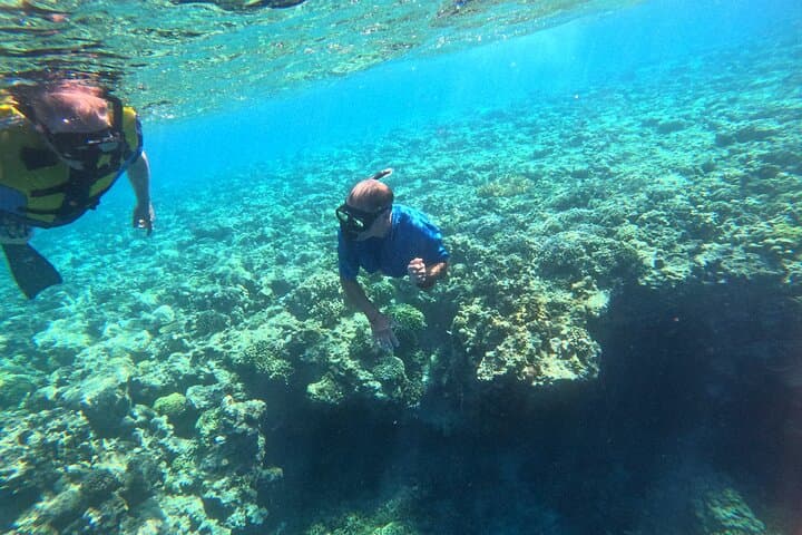 Menjangan Island Snorkeling: Bali's Hidden Underwater Gem photo 5