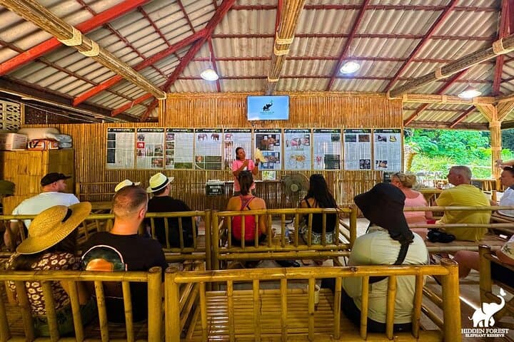 Hidden Forest Elephant Reserve Guided Tour in Phuket — Ethical Elephant Sanctuary Experience photo 5