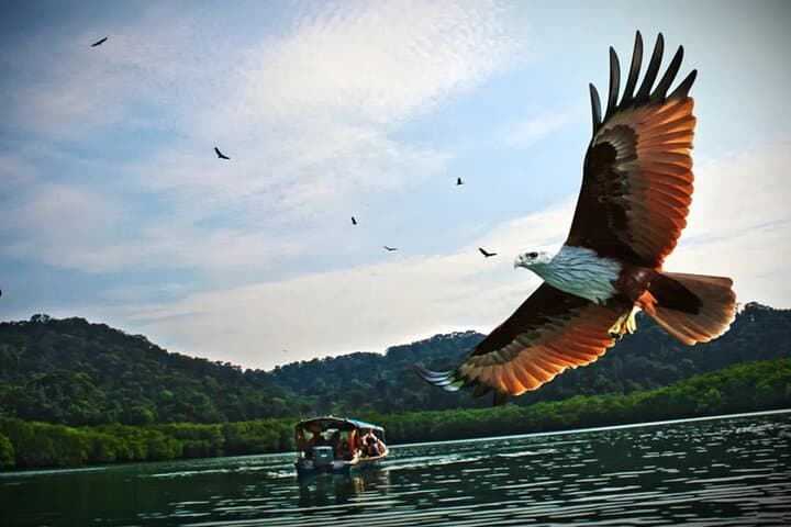 Langkawi Island Hopping Tour Guide: Beras Basah, Dayang Bunting & Eagle Watching photo 2