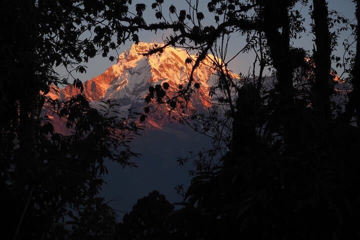 Mardi Himal Trek: Annapurna Ridge Hike, Village Encounters & Mountain Views photo 2