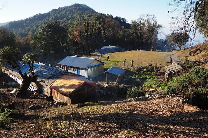Mardi Himal Trek: Annapurna Ridge Hike, Village Encounters & Mountain Views photo 4