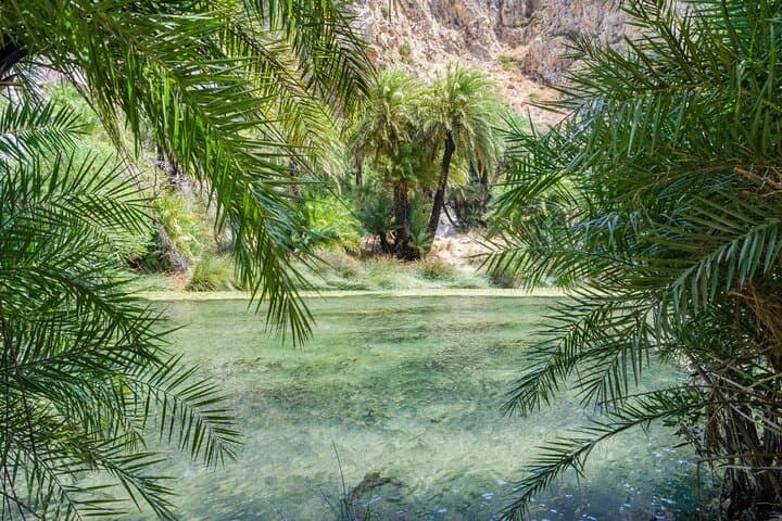 Preveli Palm Beach & Damnoni Excursion — Boat to Crete’s Famous Palm Forest photo 5