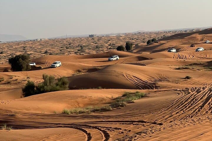 Dubai Desert Safari with BBQ Dinner and Belly Dance — Evening Dune Bashing in Lahbab photo 6