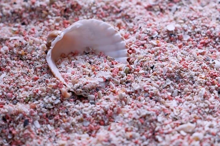 Day Trip to Elafonisi Beach: Pink Sands & Turquoise Waters from Rethymno photo 4