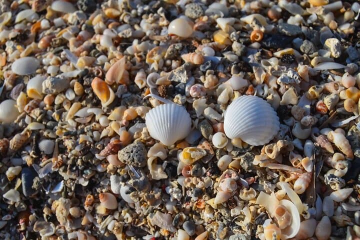 Day Trip to Elafonisi Beach: Pink Sands & Turquoise Waters from Rethymno photo 6