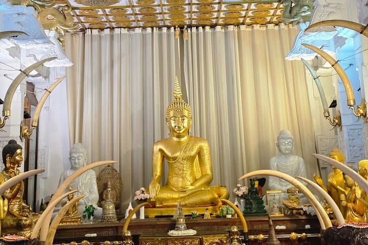 Kandy Full-Day Private Tour: Elephants, Tea & Cultural Treasures photo 2