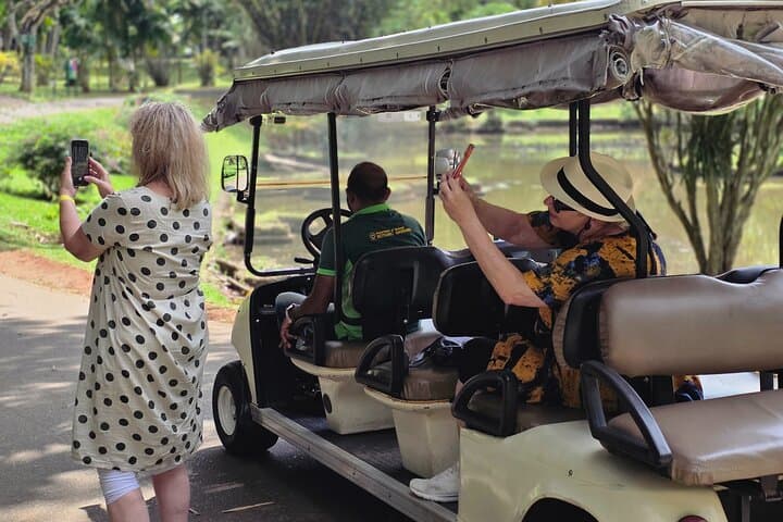 Kandy Full-Day Private Tour: Elephants, Tea & Cultural Treasures photo 3