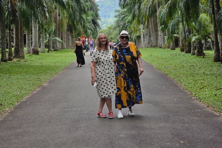 Kandy Full-Day Private Tour: Elephants, Tea & Cultural Treasures photo 4