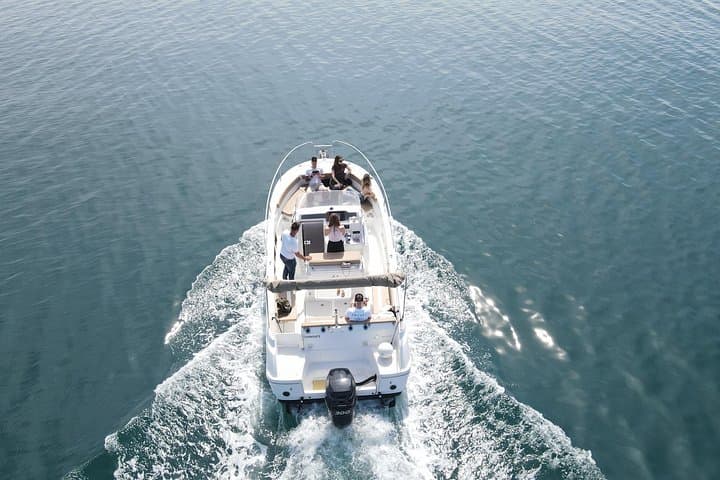 Private Dolphin Cruise from Vrsar — 90-Minute Boat Tour to Spot Bottlenose Dolphins photo 2