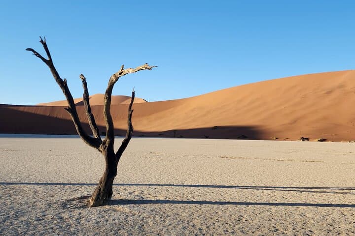 3-Day Sossusvlei Dune Adventure: Camp, Climb & Explore Namibia's Highest Dunes photo 4
