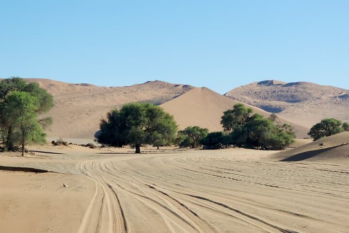 3-Day Sossusvlei Dune Adventure: Camp, Climb & Explore Namibia's Highest Dunes photo 5