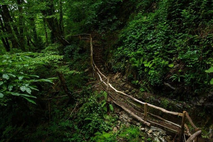 Machakhela Gorge Wine Tour from Batumi — Wine, Waterfalls & Folk Lunch photo 2