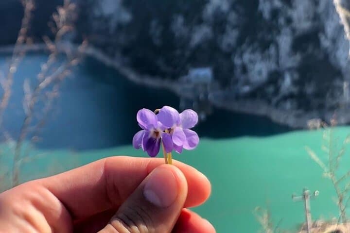 Bovilla Lake Exploration: Half-Day Hike & Views Near Tirana photo 2
