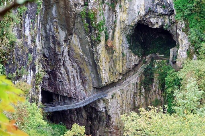 Lipica and Škocjan Caves Day Tour from Ljubljana — Lipizzaners, Caves & Predjama Castle photo 3