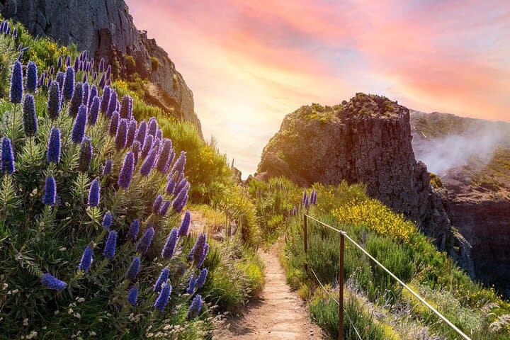 Private 3-Day Madeira Island Tour: Coastlines, Mountains & Levadas photo 2