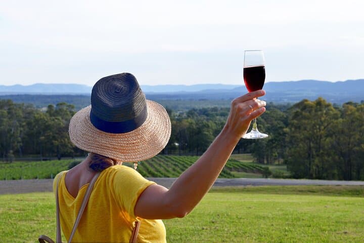 Hunter Valley Private Premium Wine Tasting: Full-Day Group Tour from Sydney