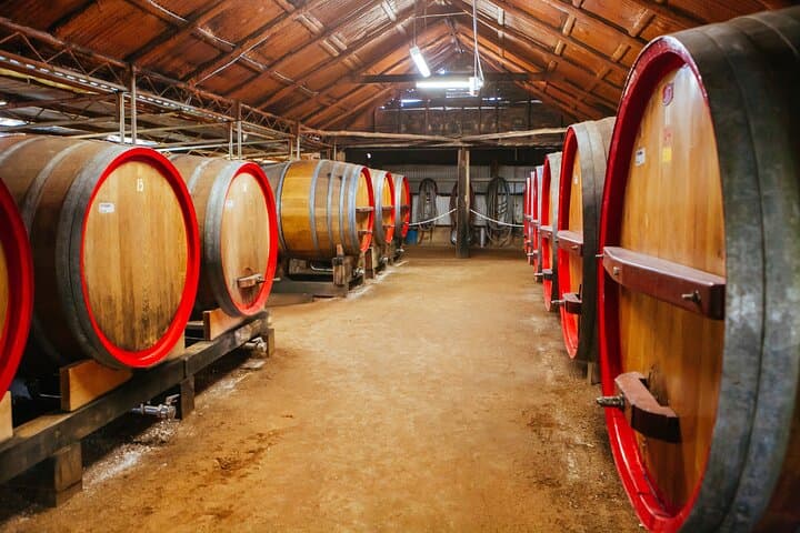 Hunter Valley Private Premium Wine Tasting: Full-Day Group Tour from Sydney photo 5