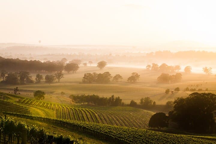 Hunter Valley Private Premium Wine Tasting: Full-Day Group Tour from Sydney photo 4